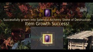 Black Desert | Splendid Alchemy Stone of Destruction Clicks