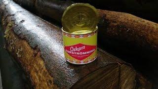 SURSTRÖMMING SCHWEDISCHE KÖSTLICHKEITEN