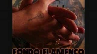 Fondo Flamenco - Tu Retrato