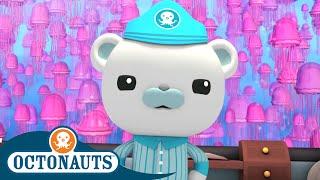 Octonauts - Jellyfish Adventure | Cartoons for Kids | Underwater Sea Education