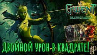 Гвинт (GWENT). Колода двойной УРОН в КВАДРАТЕ! Фракция Скоя'таэли. The Witcher.