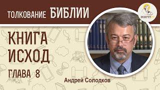 Книга Исход. Глава 8. Андрей Солодков. Ветхий Завет