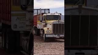 8.5 Acres and 2  Acres in Deming, New Mexico Sitting Along the Same Road with Power