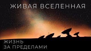 Живая ли вселенная? Обитаемые миры за пределами Земли