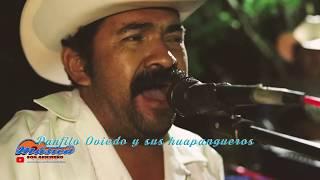 Huapango en vivo Panfilo Oviedo La Rosita