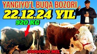 YANGIYOʻL BUQA BOZORI 920 KG 50000000 MIL DAXSHAT 