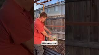 Why you NEED to Mulch your Garden!