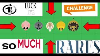 MOPE.IO 1 HOUR LUCK CHALLENGE! SO MANY RARE ANIMALS! HOW LUCKY CAN I BE!