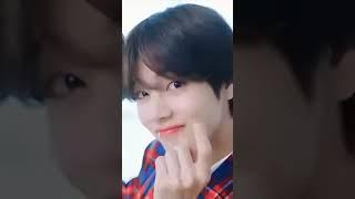 .•° Nee Roja Naa mullu  °•. || #kimtaehyung #kimtaehungedit #btsmember #saraedits #bs #taehyung