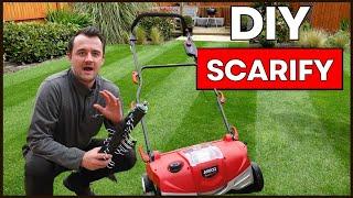 How to Scarify a Lawn - The Complete Guide