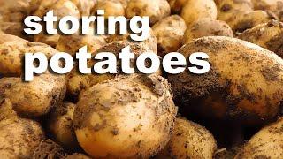 Storing Potatoes For Months - How To Store Potatoes Cheaply!