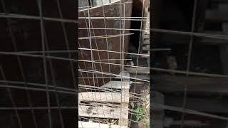 Жби кольца своими руками,легко и просто #жби кольца #жб кольца