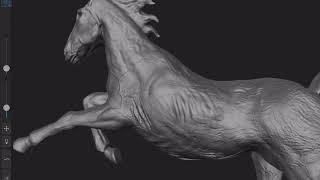 3D HORSE MODELLING PROCESS ON FORGER