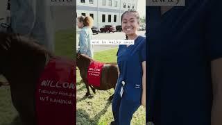 I thought he was a therapy pony 