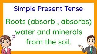 Simple Present Tense of Verbs (with Activity)