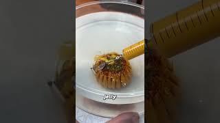 Watch a SUNFLOWER Bloom Inside Jelly!