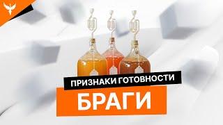 Признаки готовности сахарной браги. Как определить, что брага готова?