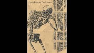 Spina Bifida "Symphony of Indictment" Demo 1993