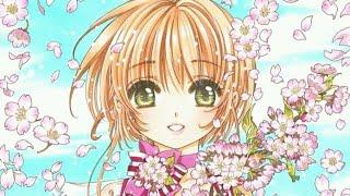  Sakura Card Captor 