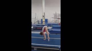 The guide to starting your gymnast on an elite path - Preview 1