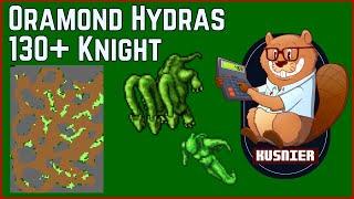 Oramond Hydras | 130+ Knight | Tibia