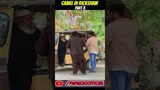 CAMEL IN RICKSHAW PART 3