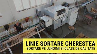 Linie optimizare cherestea uscata - sortare cherestea pe lungimi si clase de calitate