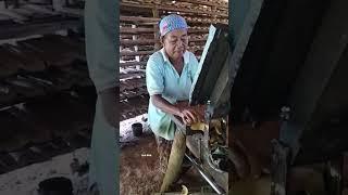 pressed tile making process #shortvideo #nature #nest #fypシ゚viral #woodscraft #viralvideo