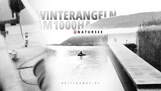 Winterangeln am 1000 Hektar Natursee | Baitlounge | Karpfenangeln | Österreich | Big Lake