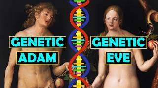 Do We All Share a Common Genetic Ancestor?