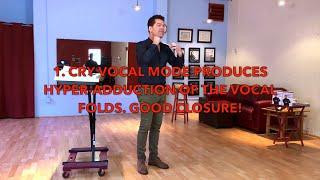 What Is Cry Vocal Mode? | Robert Lunte | The Vocalist Studio | Voice Warm Ups