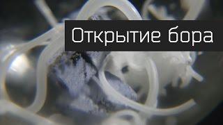 Открытие бора. Красивые опыты.