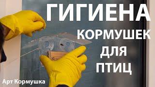 Гигиена кормушек для птиц! Моем и кормим! Весенняя подкормка Feeder hygiene! Cleaning bird feeders!