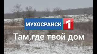 Все (почти) заставки Мухосранск 1 (08.12.2020 - 20.05.2021)