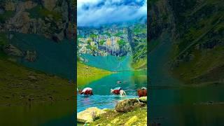 Scenic beauty‎‎ Earth exploration‎‎ Peaceful scenery‎‎ Eco-friendly vibes‎‎