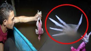 What A Fisherman Caught On Camera Shocked The Whole World