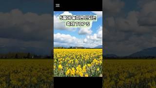 5월에 놓치면 안되는 축제 TOP 5