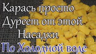 Лови по Холодной воде! Насадка на Карася. Карась Карп Сазан. Рыболовная Насадка для Карася.