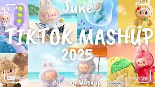 Tiktok Mashup June 2025 (Not Clean)