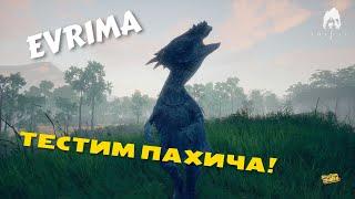 The Isle EVRIMA. ЛАМПОВЫЙ СТРИМ . ИГРАЕМ+ОБЩАЕМСЯ .ПАХИЦЕФАЛОЗАВР !