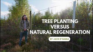 Tree Planting versus Natural Regeneration: the Benefits and Challenges of Each Method