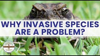 Why Invasive Species Are a Problem Dynamic Earth Learning