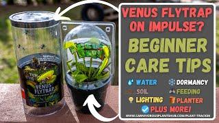 Bought A Venus Flytrap From Wal-Mart, Lowes (Big Box) What Now? Venus Fly Trap Beginner Care Tips!