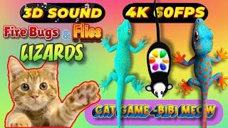 CAT GAMES TOM TV & BiBi | Ultimate Compilation Catching The LIZARDS , Flies, FireBugs11 HOURVol 62