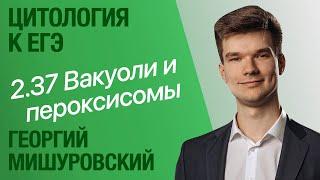 2.37. Пероксисомы и вакуоли | Цитология к ЕГЭ | Георгий Мишуровский