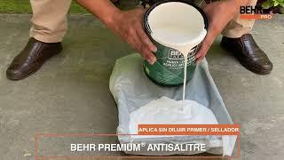 BEHR PREMIUM® ANTISALITRE vs otras marcas