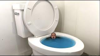 Worlds Largest Toilet Blue Swimming Pool Compilation