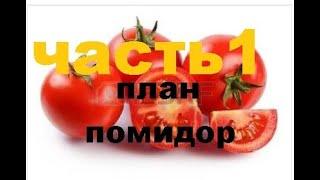 #S.T.A.L.K.E.R. ONLINE# план помидор   # tomato plan    #  часть1