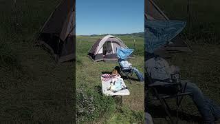 Camping in Montana Clover
