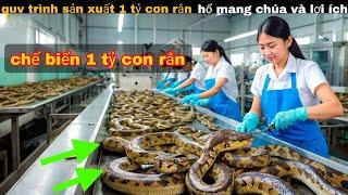 Quy Trình Sản Xuất Chế Biến 1 tỷ Con Rắn Hổ Mang chúa || review giải trí